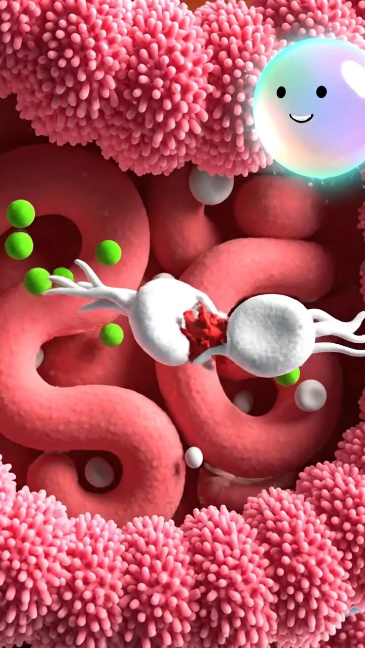 The gut as an immune training camp