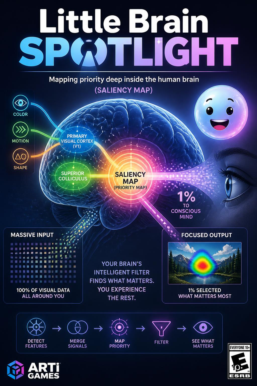 Little Brain Spotlight