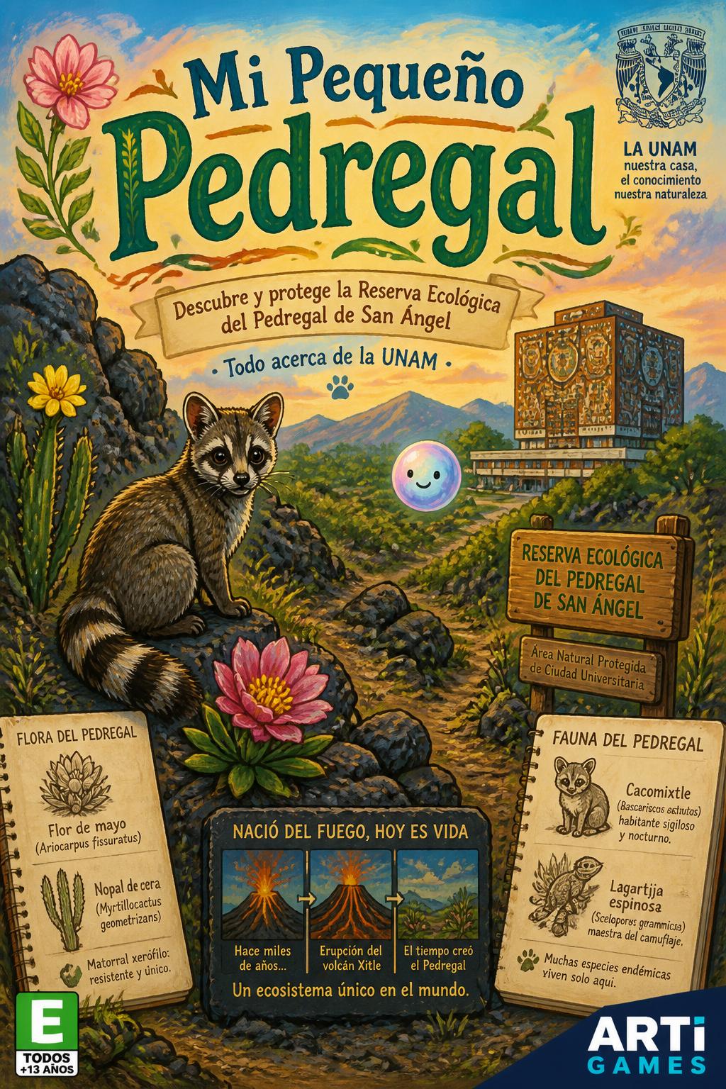 Mi Pequeño Pedregal
