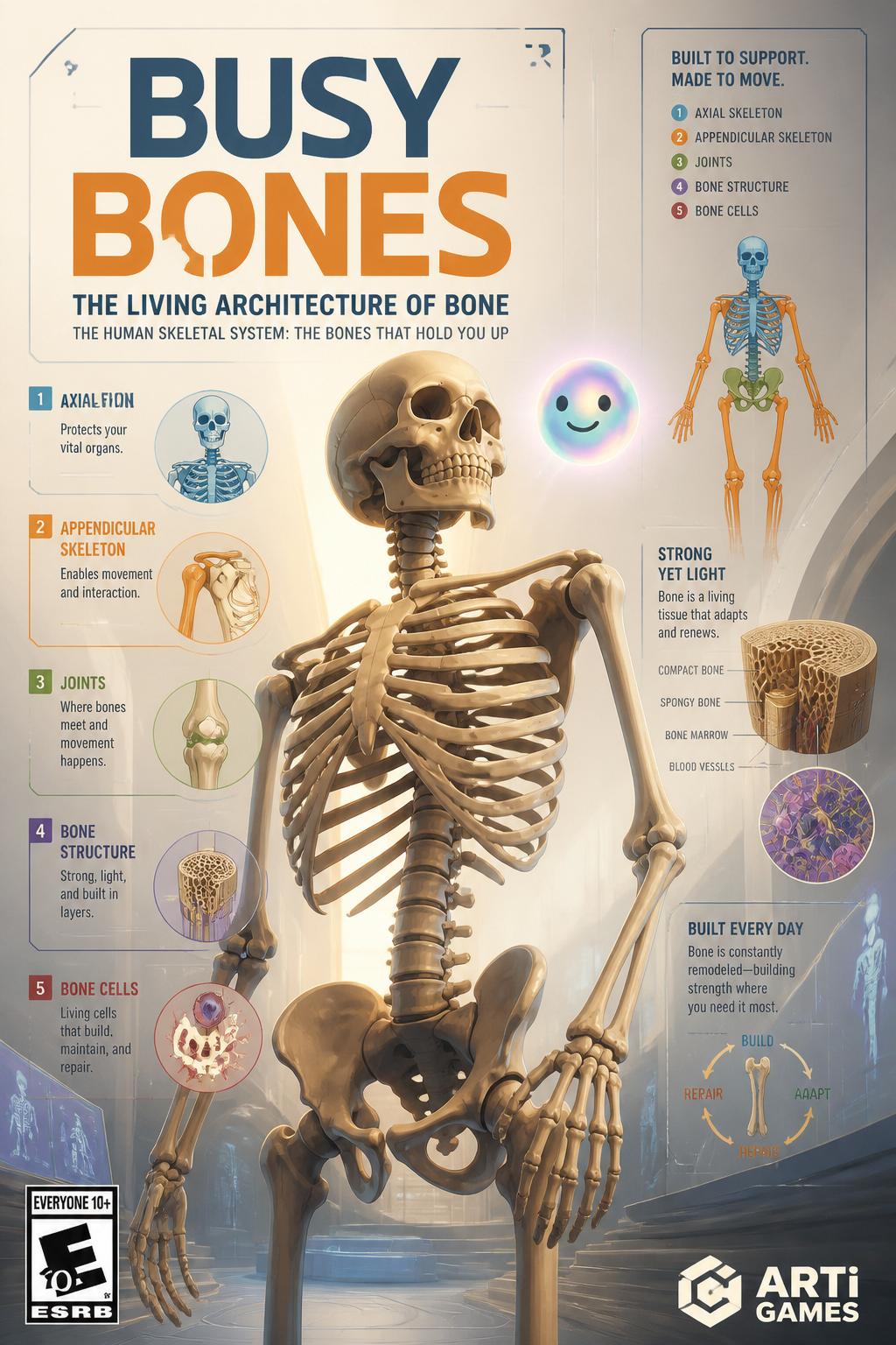 Busy Bones