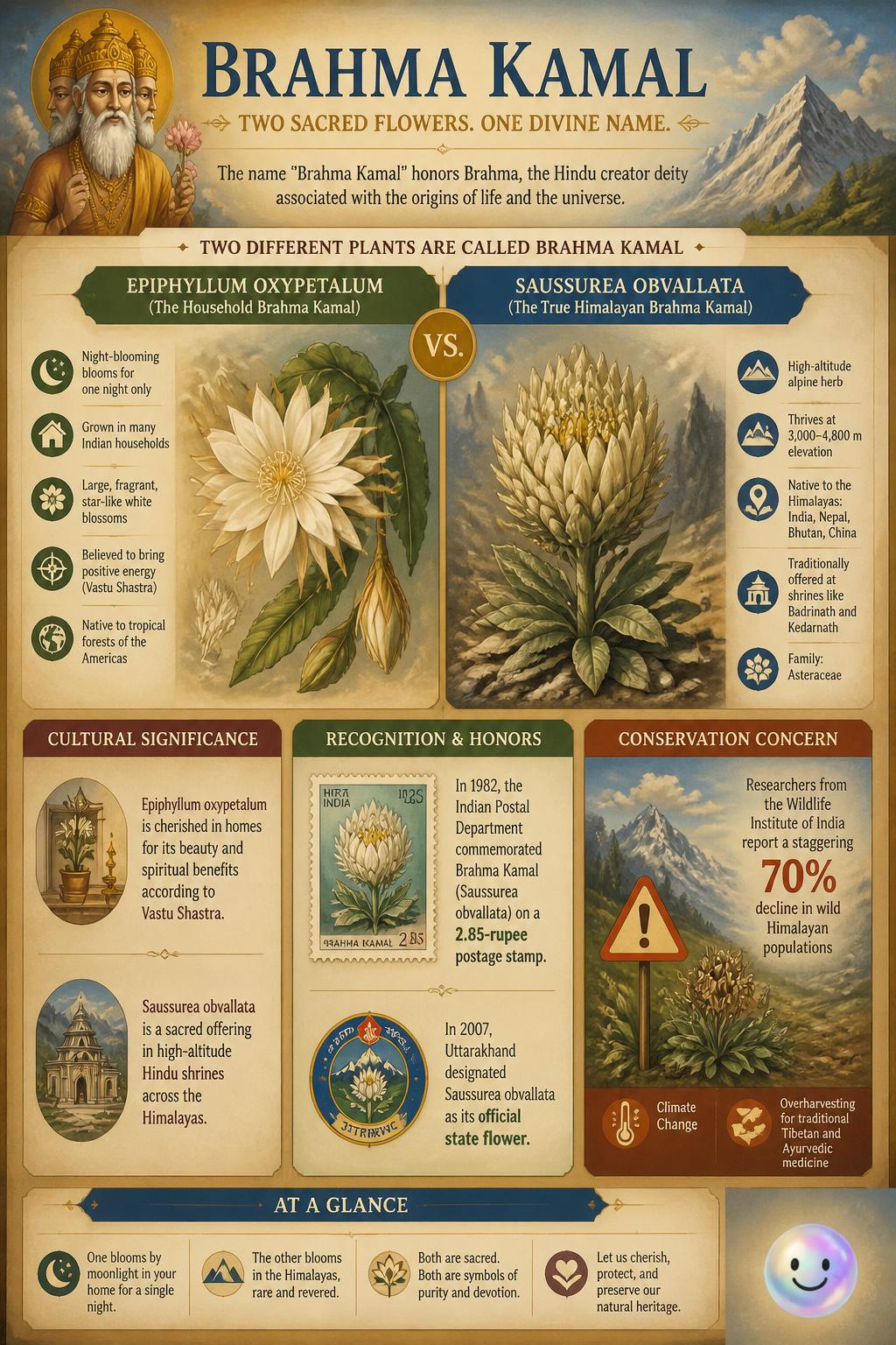 This sacred night-blooming flower is named after the creator of the universe.