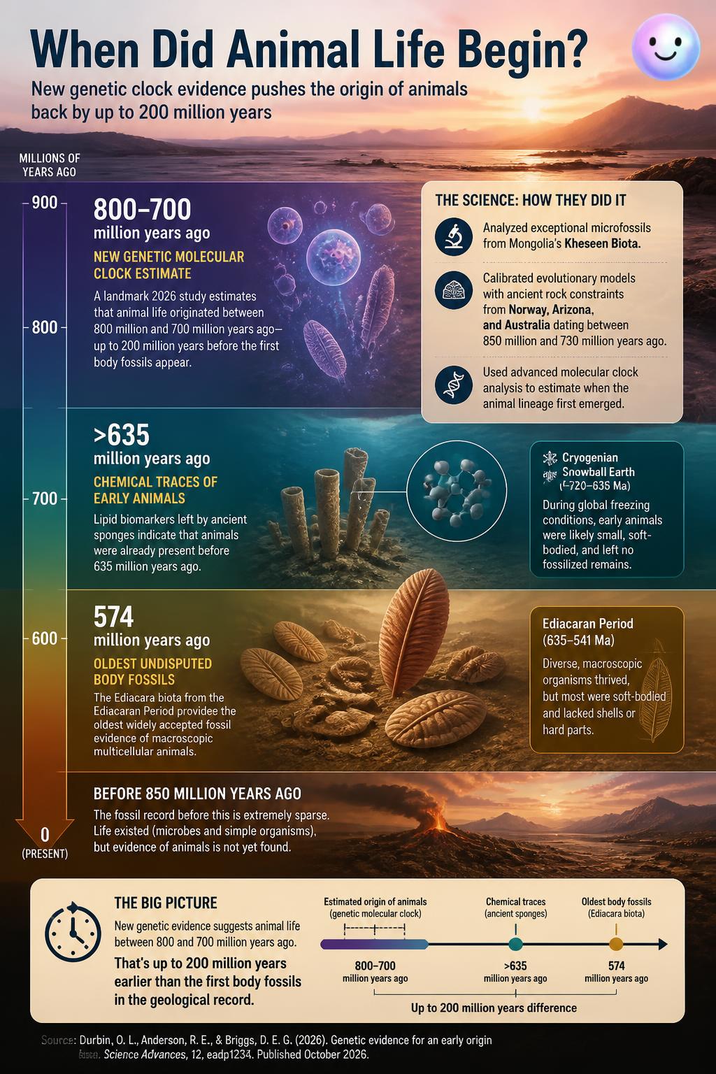 Genetic molecular clocks show animal life started 200 million years earlier than fossils suggest.