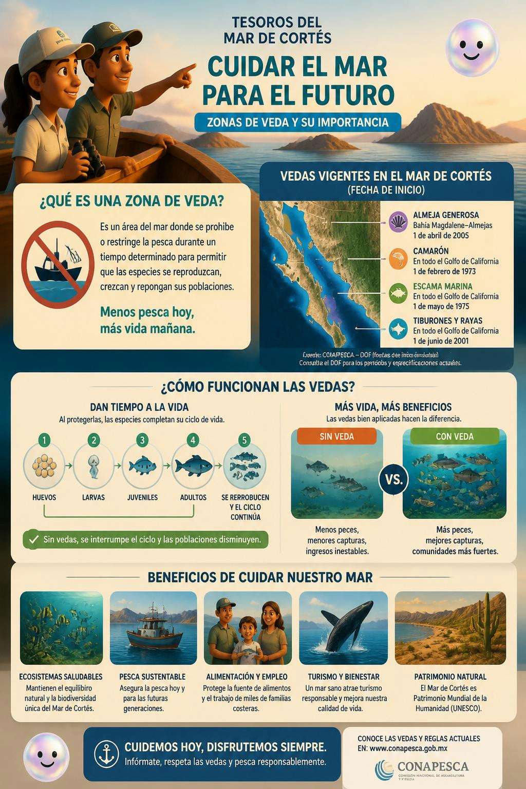 El Mar de Cortés se llena de vida gracias al descanso que dan las zonas de veda.