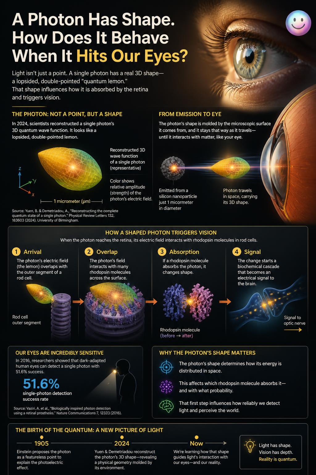 The lemon shape of a single photon dictates how quantum light bounces off our eyes