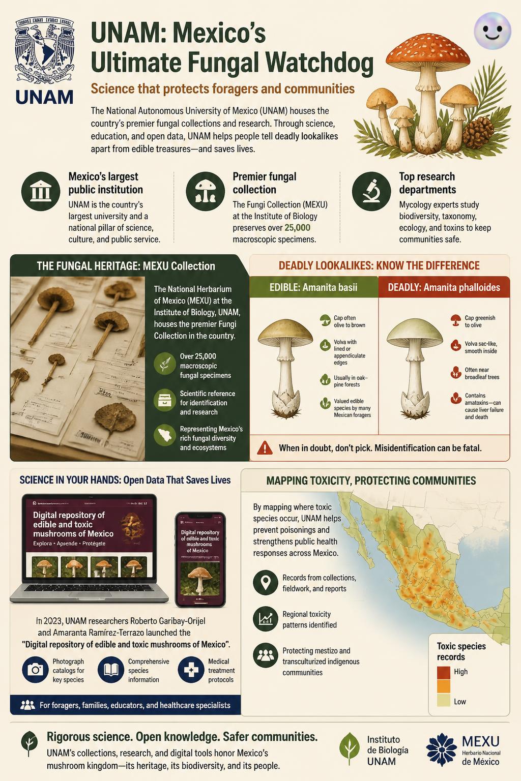 UNAM scientists map toxic lookalikes to keep mushroom foragers safe from deadly poison.