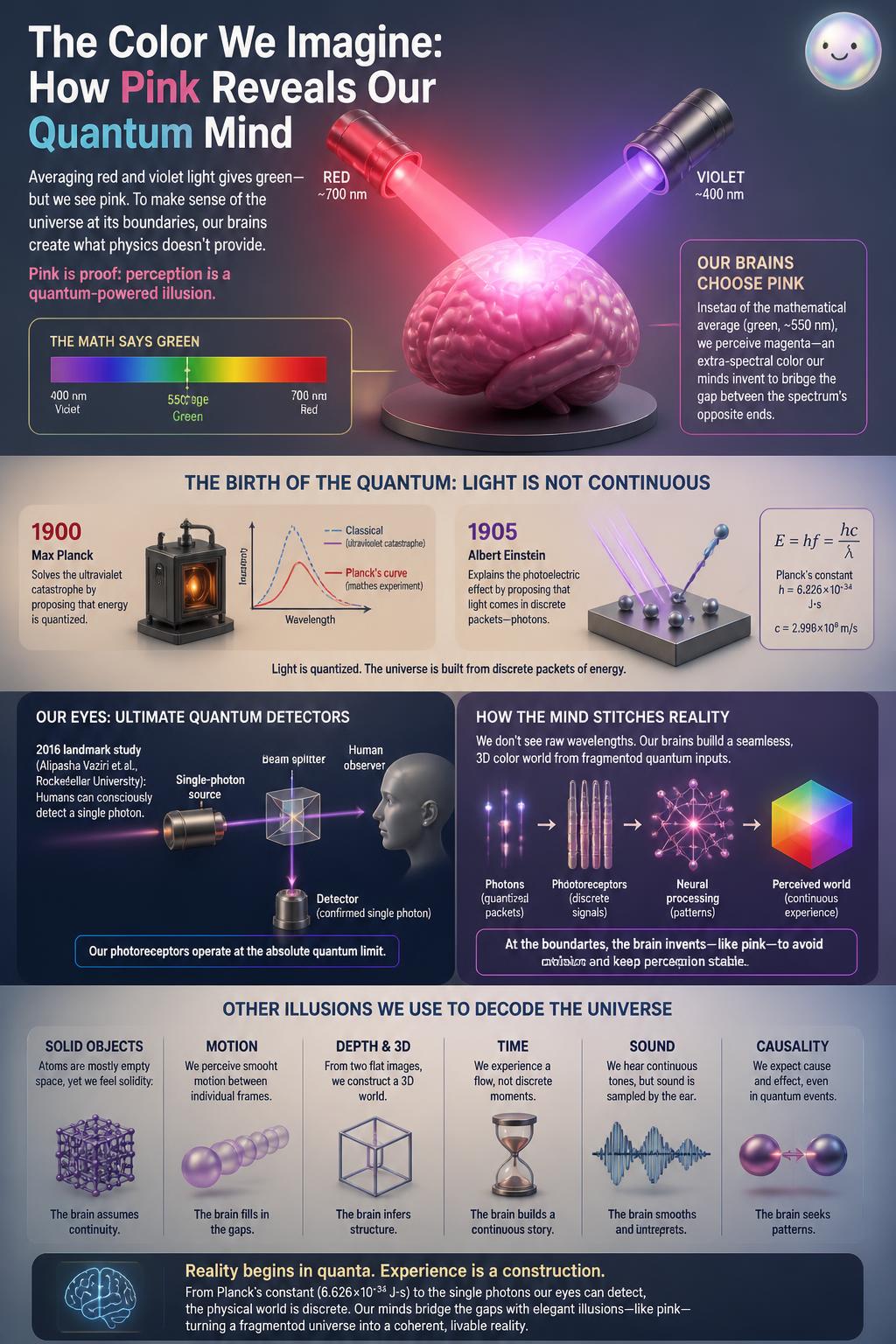 Our brains bypass quantum limits by inventing pink to bridge red and violet wavelengths.