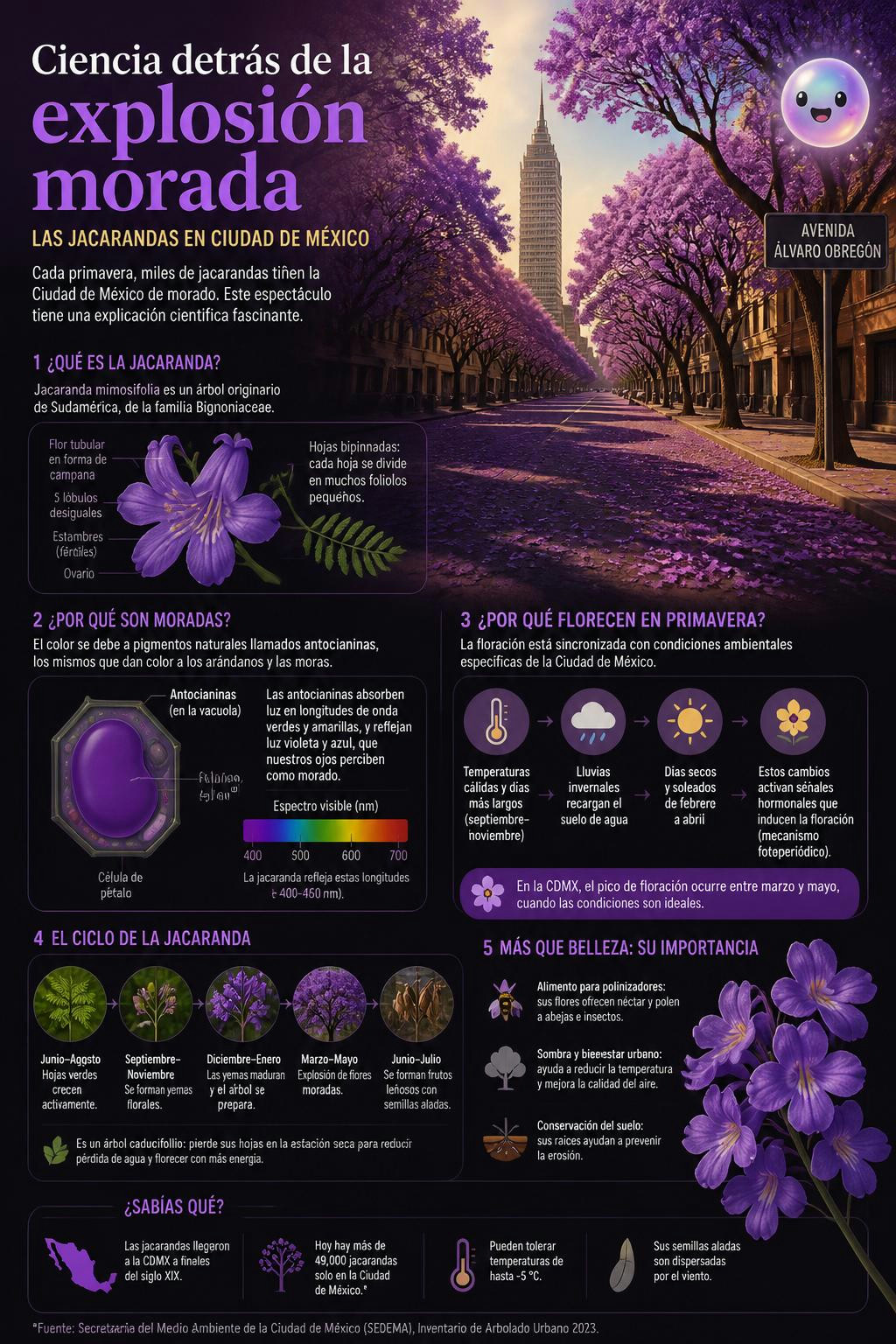 Ciencia detrás de la explosión morada