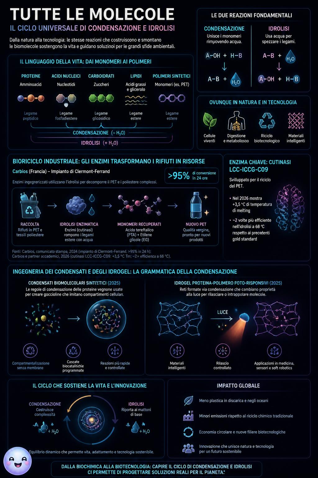 Pochissimi mattoncini chimici combinati creano l'infinita varietà di tutte le molecole esistenti.