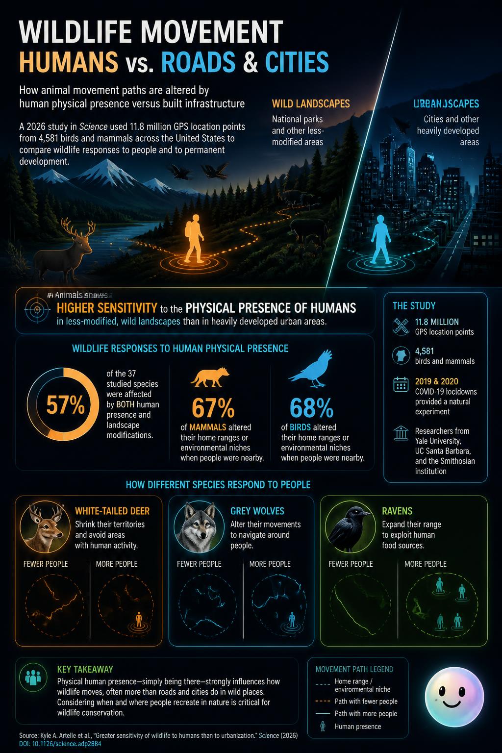 How Our Footsteps Reshape the Wild