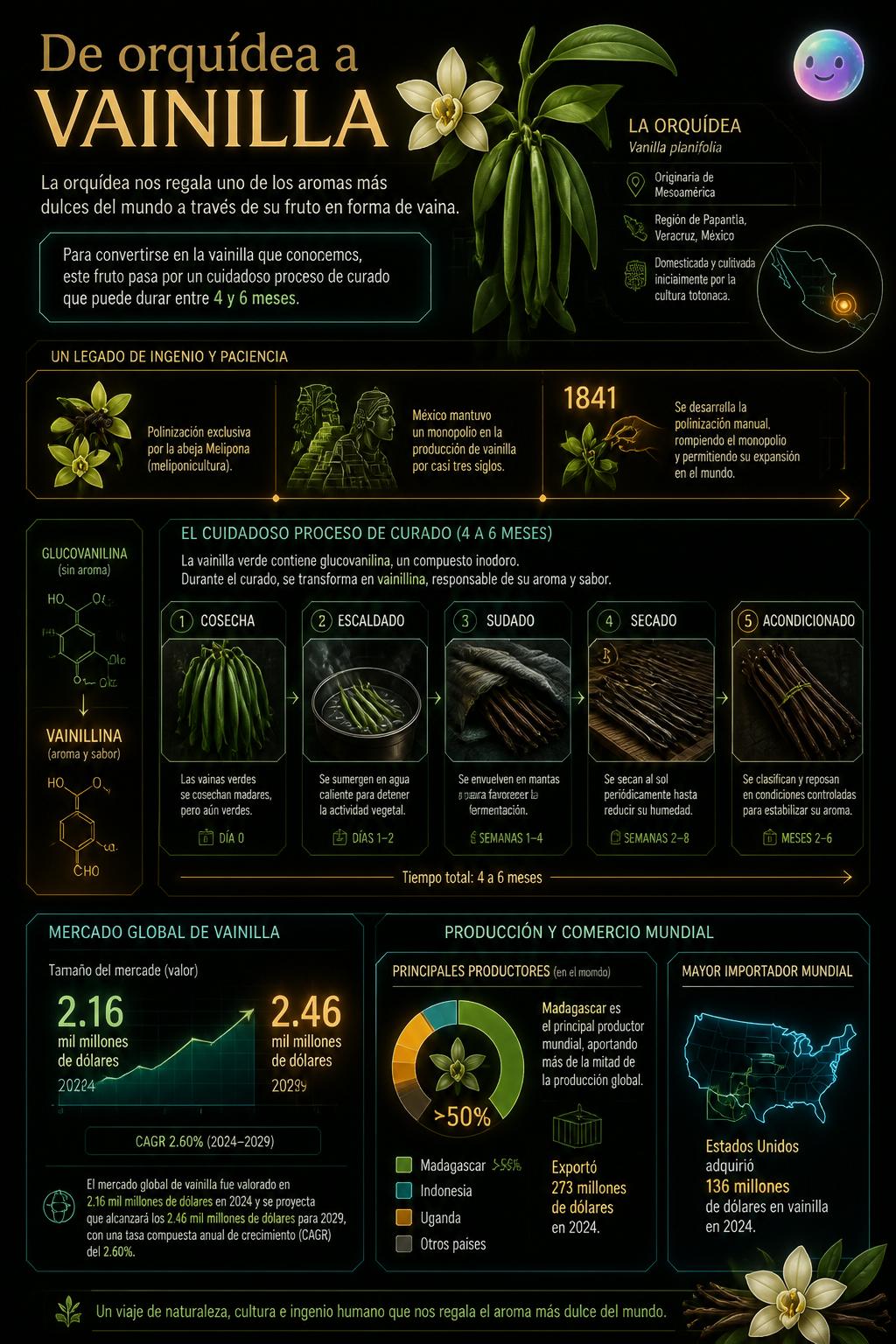Resulta que la vainilla es el fruto curado de una delicada orquídea.