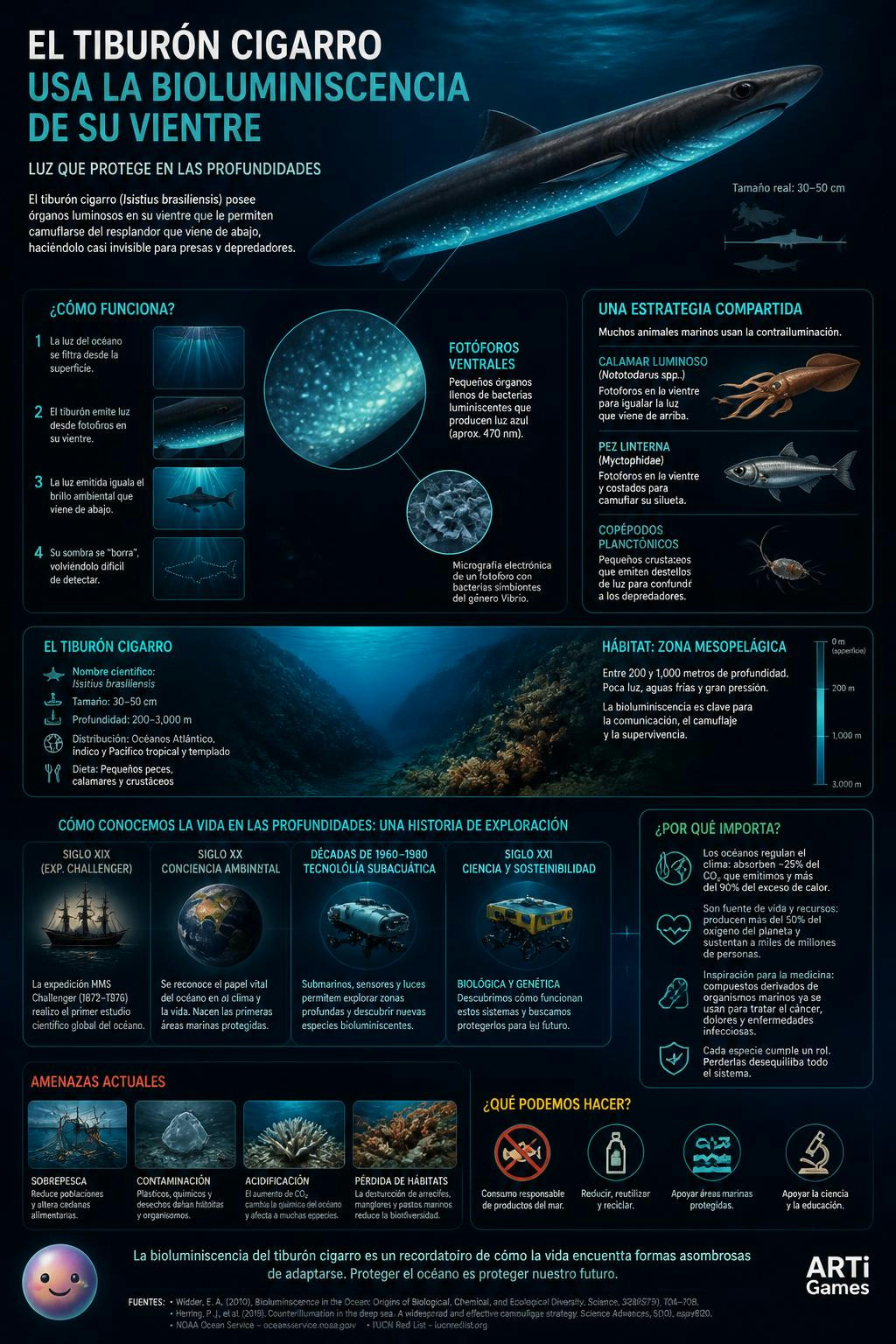El **tiburón cigarro** usa la **bioluminiscencia** de su vientre para brillar y camuflarse con la luz del sol, dejando solo una mancha oscura que parece un pez pequeño e inofensivo. Cuando una presa g (sobre: Bioluminiscencia marina: El tiburón cigarro brilla en la oscuridad para camuflarse y morder trozos circulares de presas más grandes.)