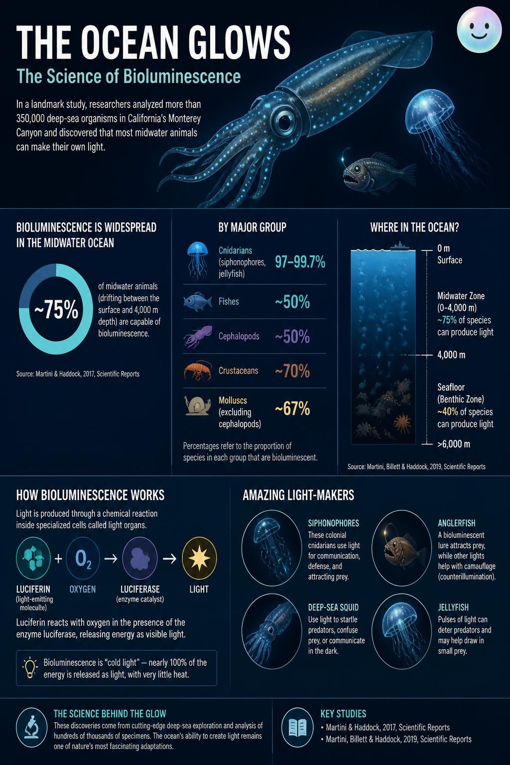 Bioluminescence allows strange deep ocean creatures to create their own light