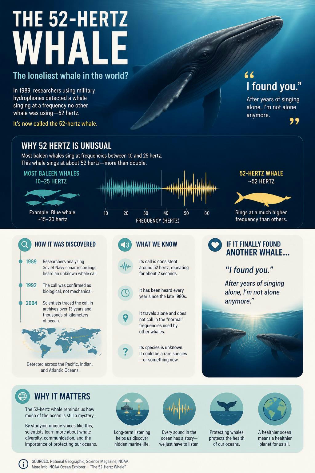 One whale sings at a frequency that no other whale is tuned to hear.