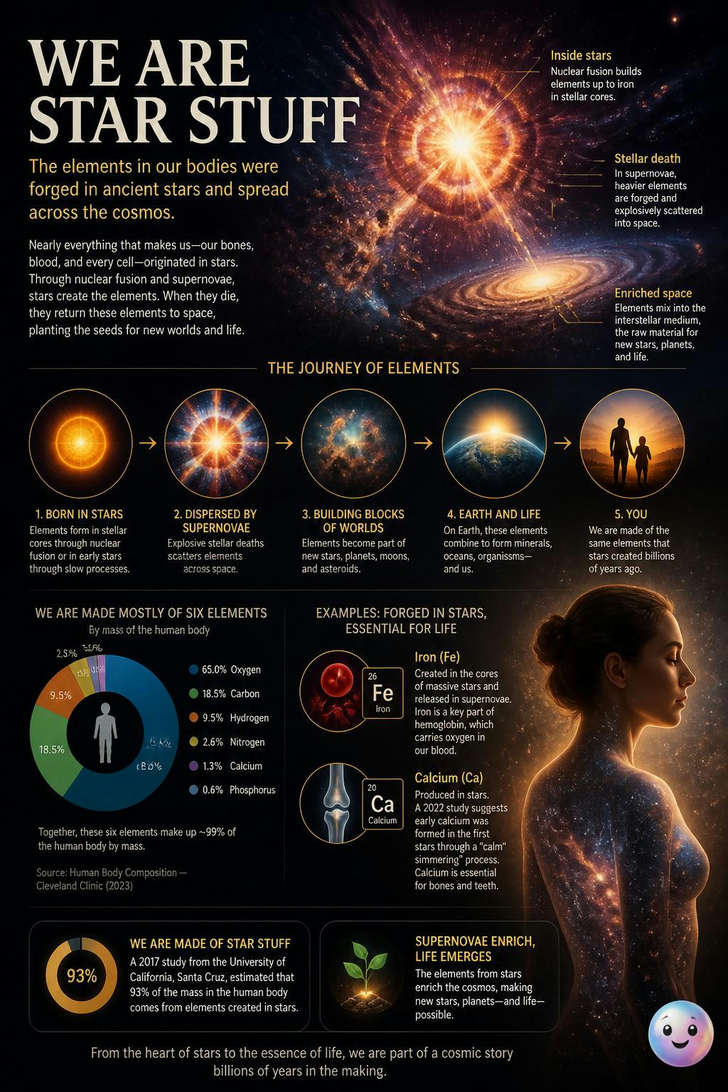 The iron in your blood was literally forged inside a dying star.
