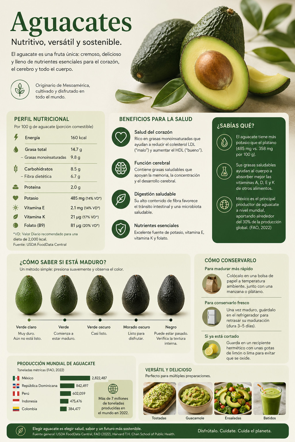 El aguacate existe hoy porque los perezosos gigantes dispersaban su semilla.