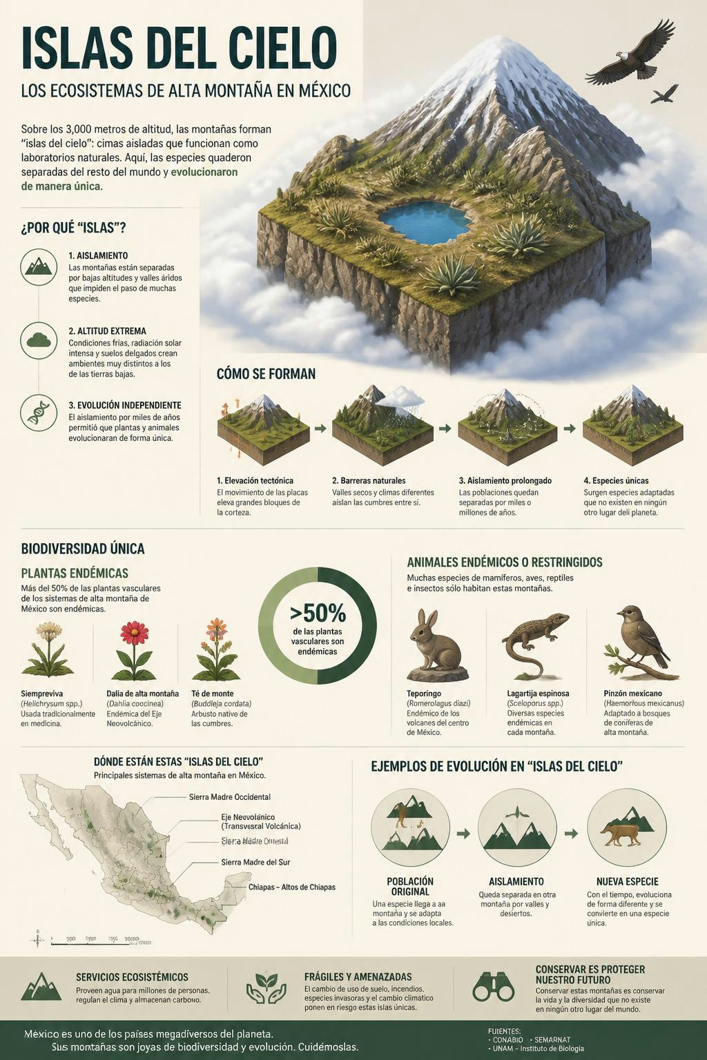 Las montañas de México son islas del cielo donde la vida evolucionó aislada.