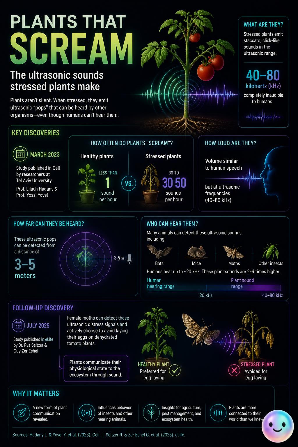 Plants that scream: the ultrasonic sounds stressed plants make