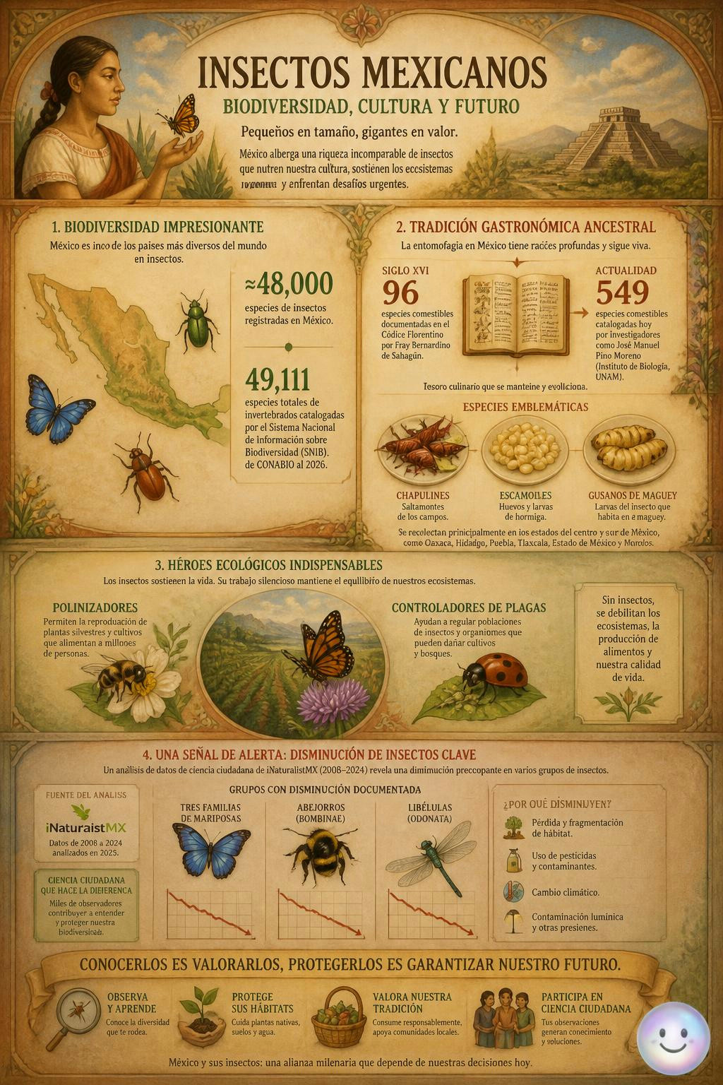 México registra casi cincuenta mil especies de insectos dentro de su territorio.
