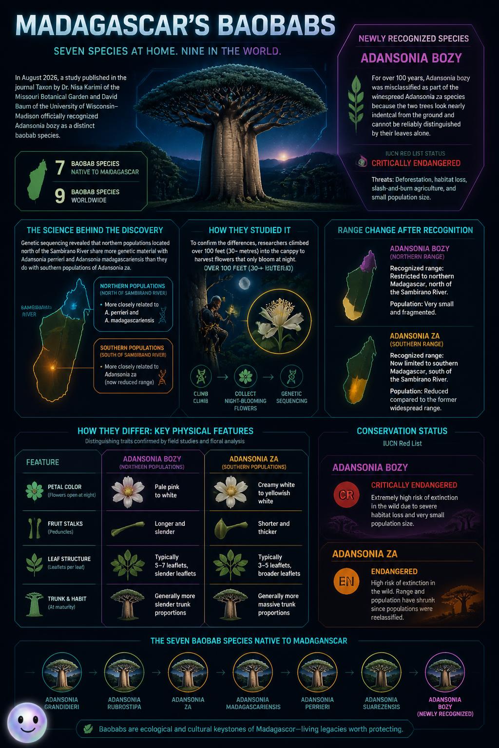 Mapping Madagascar's 'Upside-Down' Trees