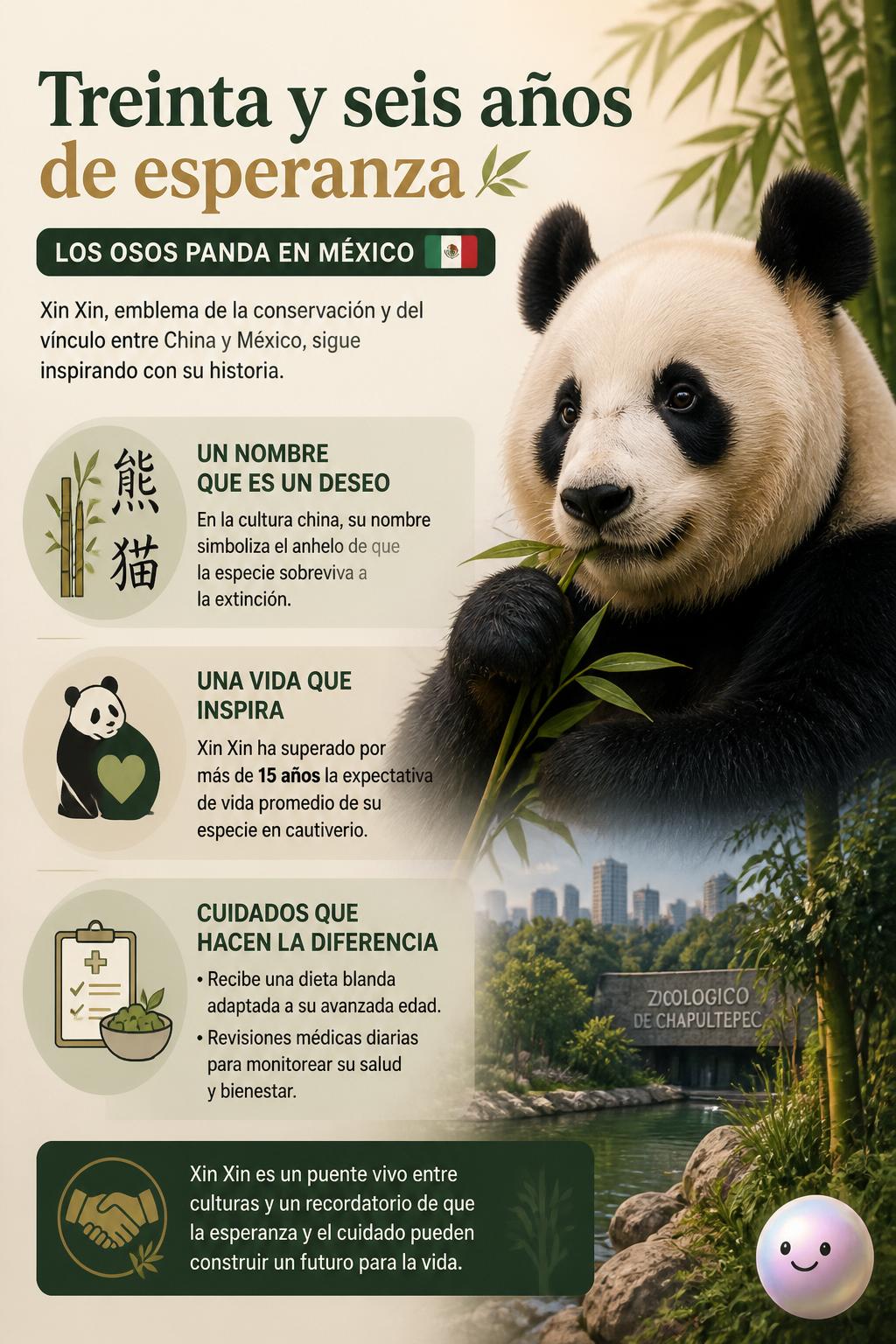 Treinta y seis años de esperanza