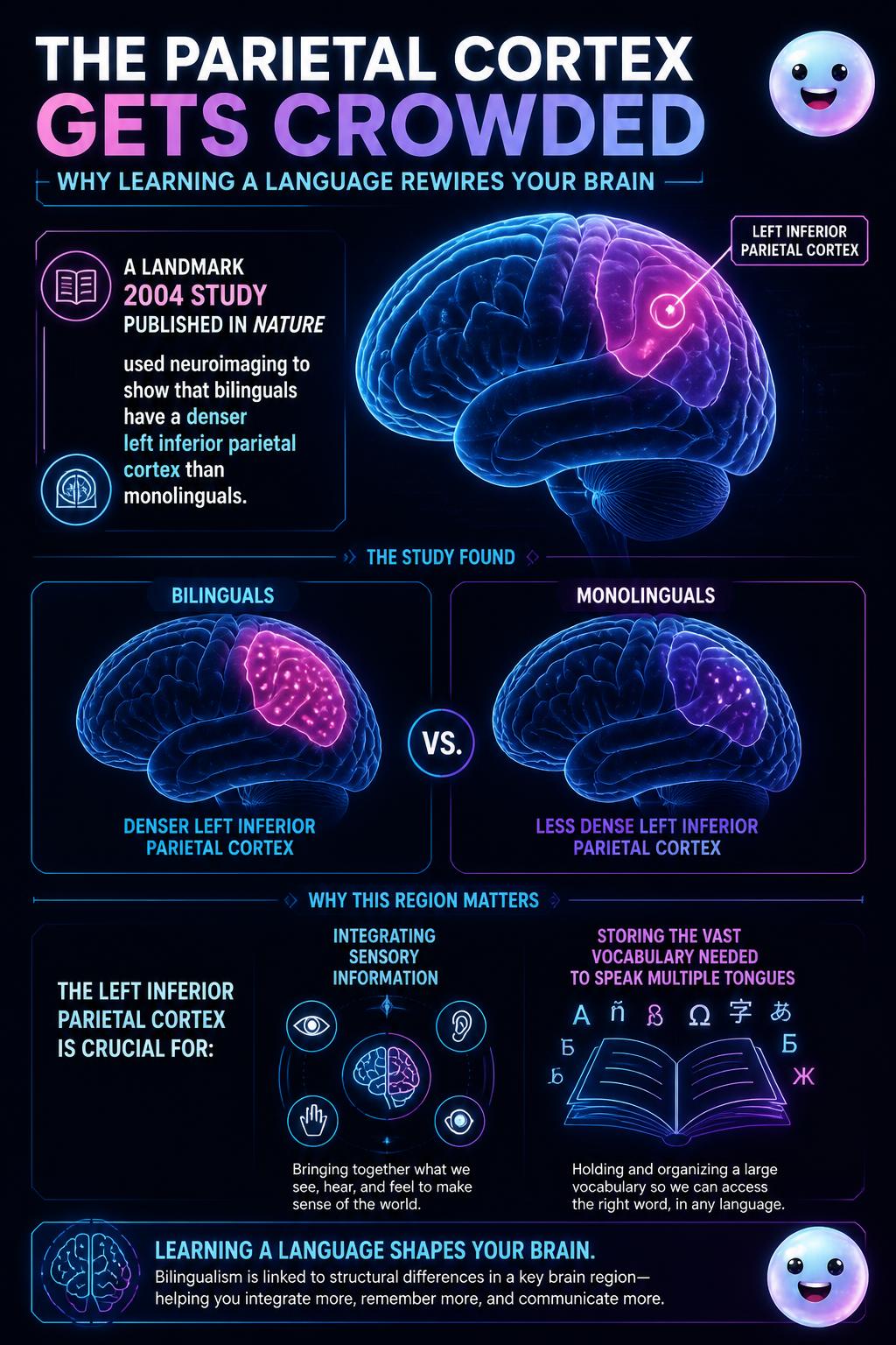 The parietal cortex gets crowded