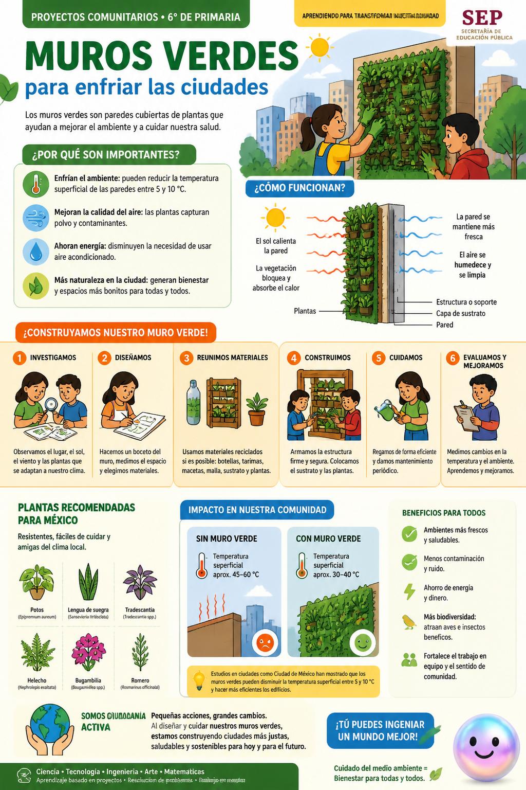 Muros verdes para enfriar las ciudades