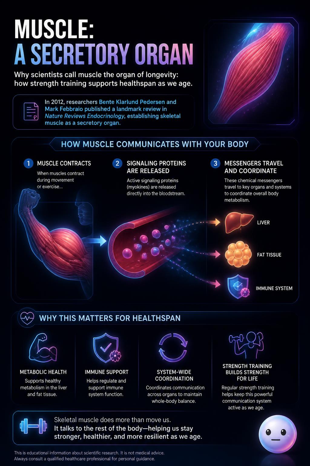 Muscle as a secretory organ