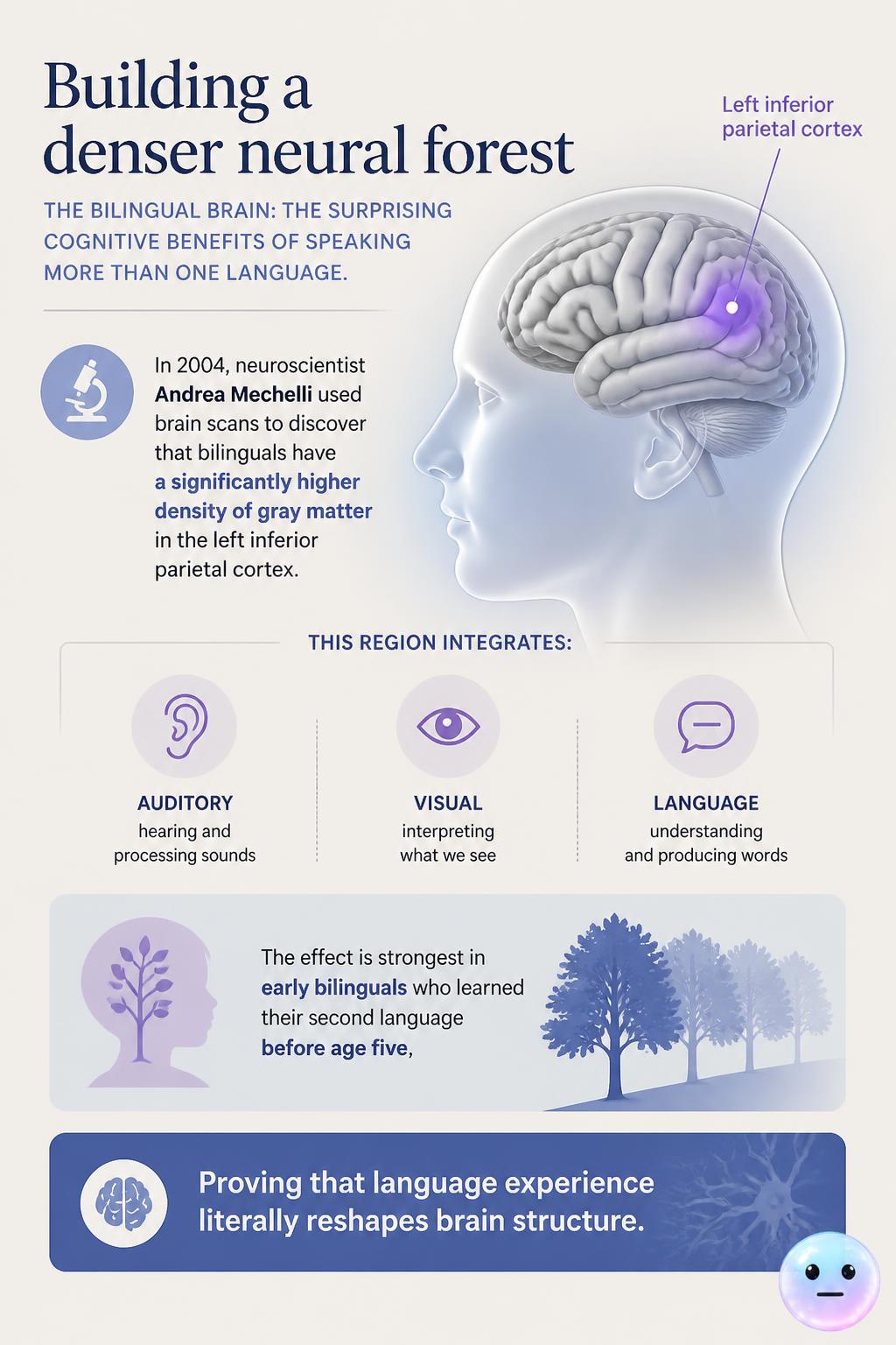 Building a denser neural forest