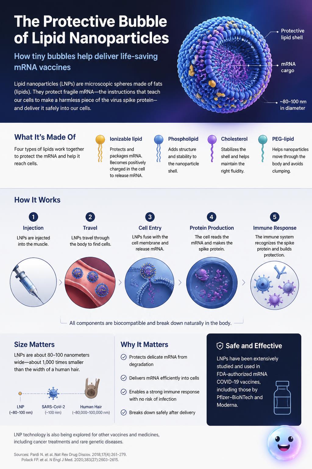 The protective bubble of lipid nanoparticles