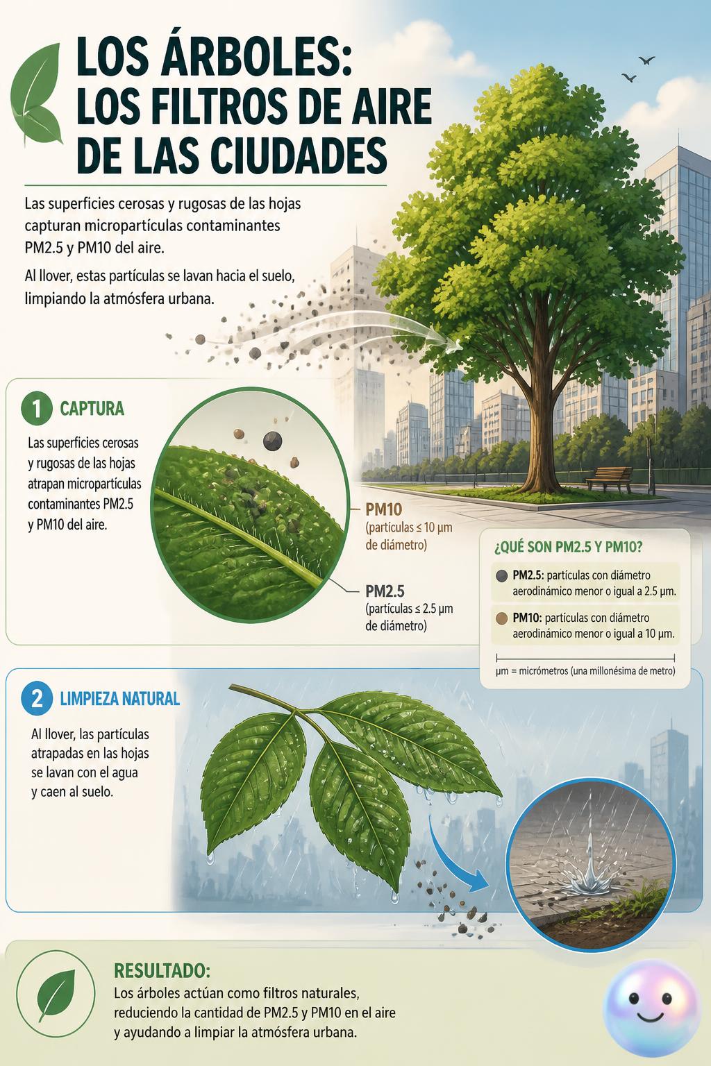Los filtros de aire de las ciudades