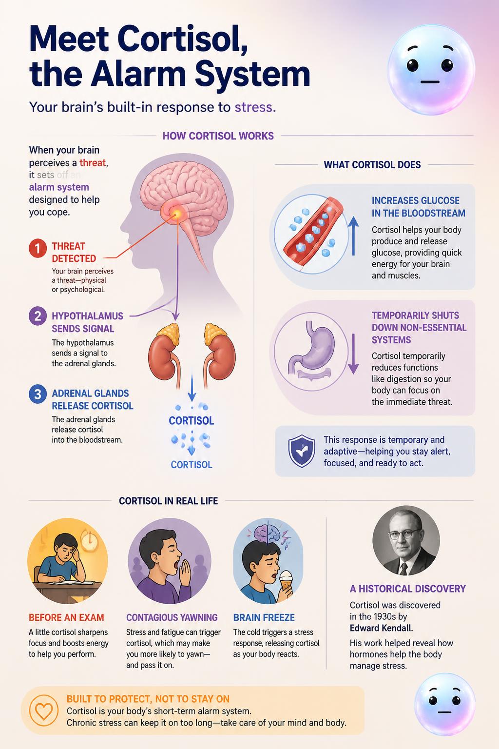 Meet cortisol, the alarm system