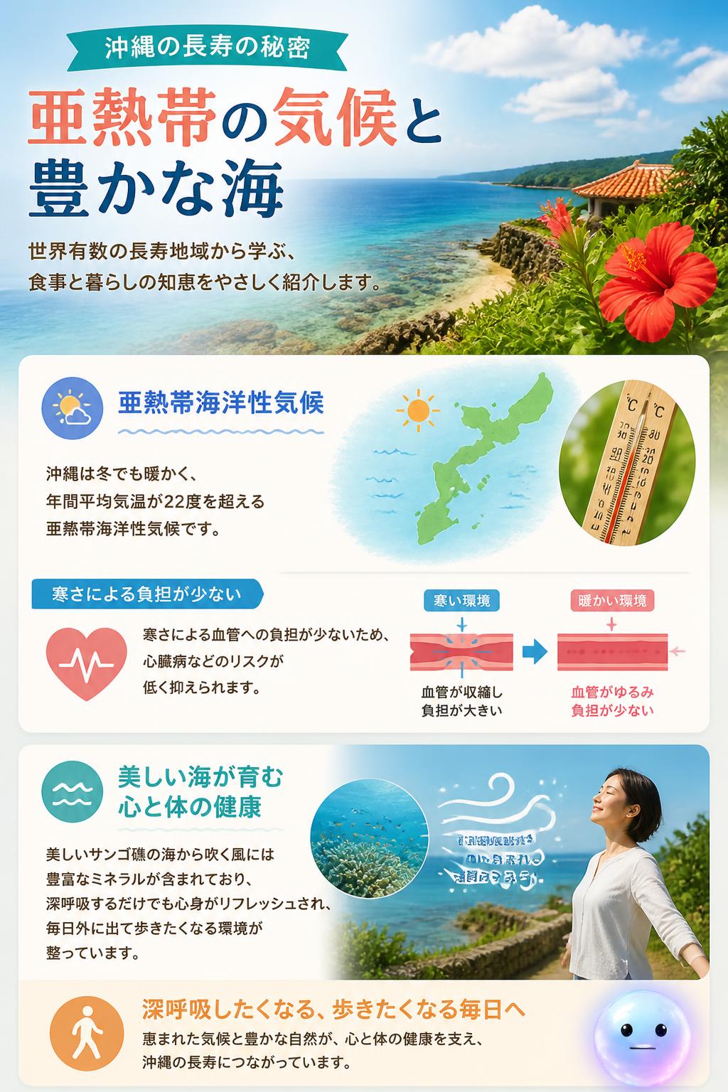 亜熱帯の気候と豊かな海