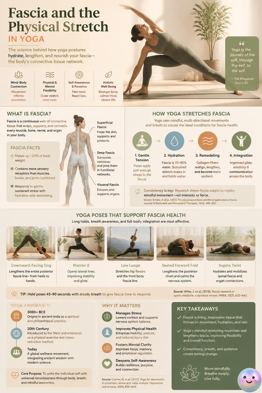 Fascia and the physical stretch