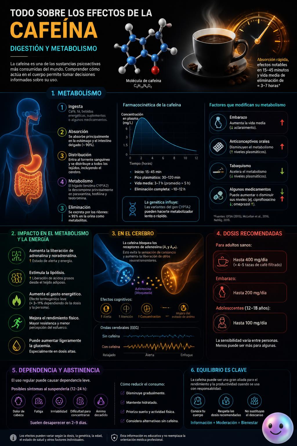 Digestión y metabolismo