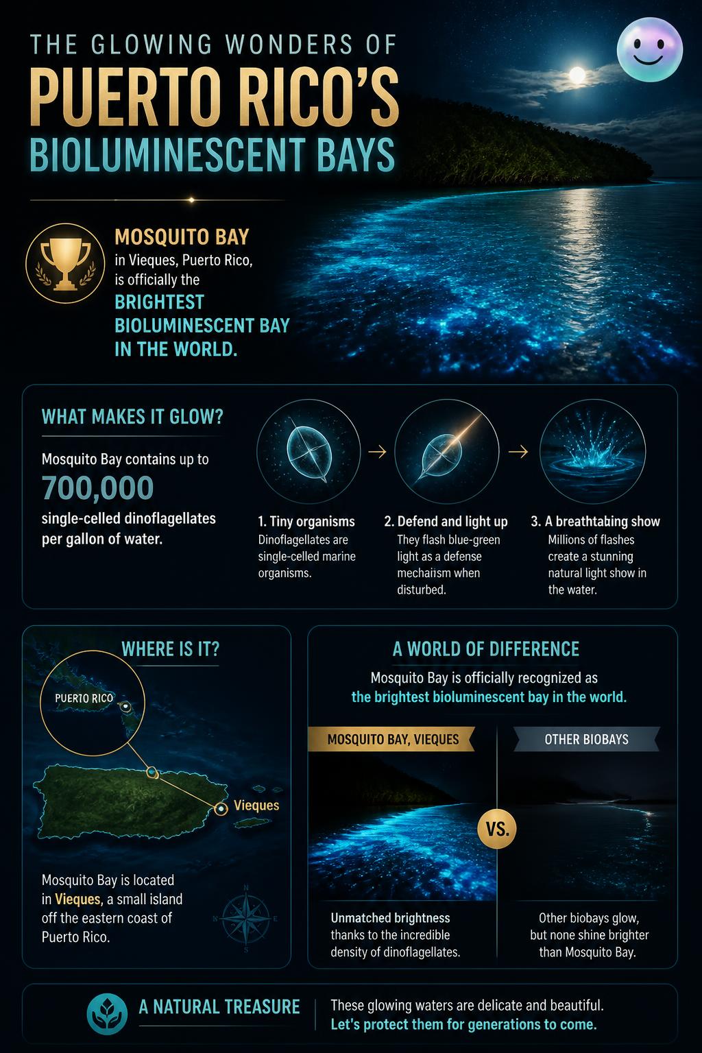 The glowing bioluminescent bays of Puerto Rico