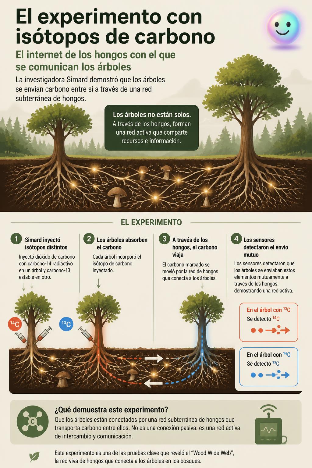 El experimento con isotopos de carbono