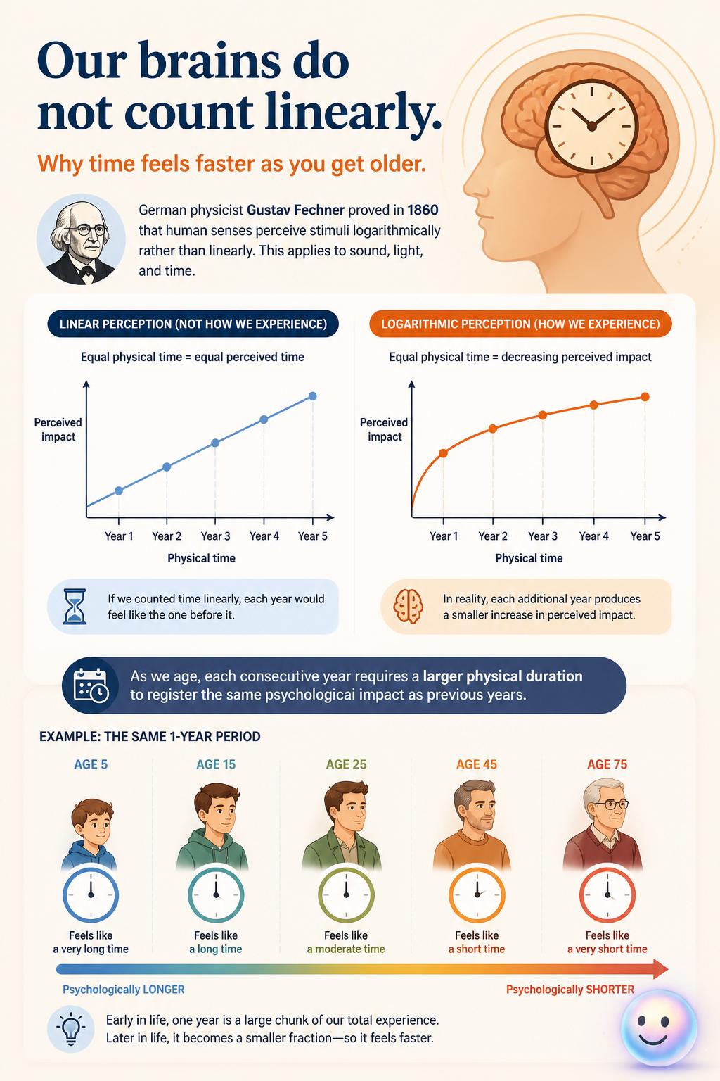 Our brains do not count linearly