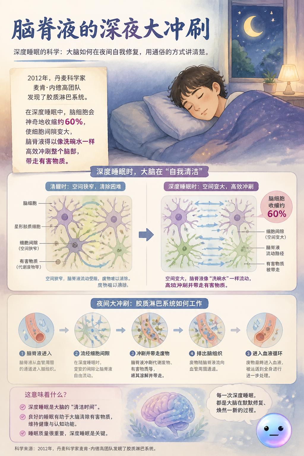 脑脊液的深夜大冲刷