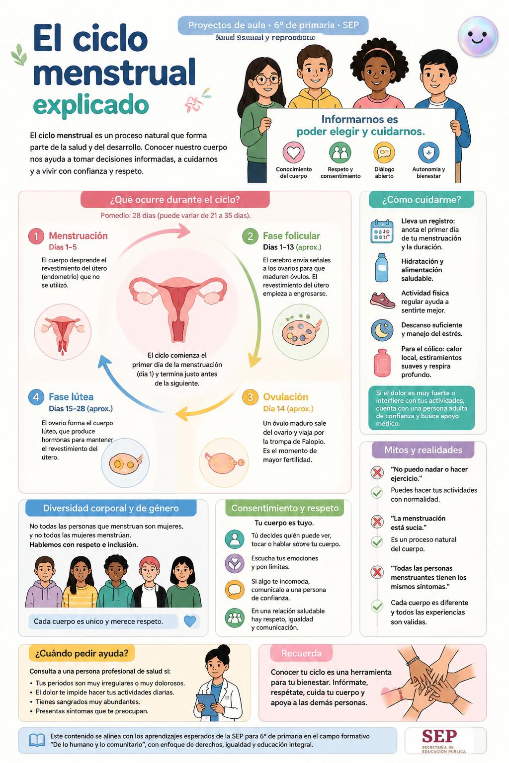El ciclo menstrual explicado