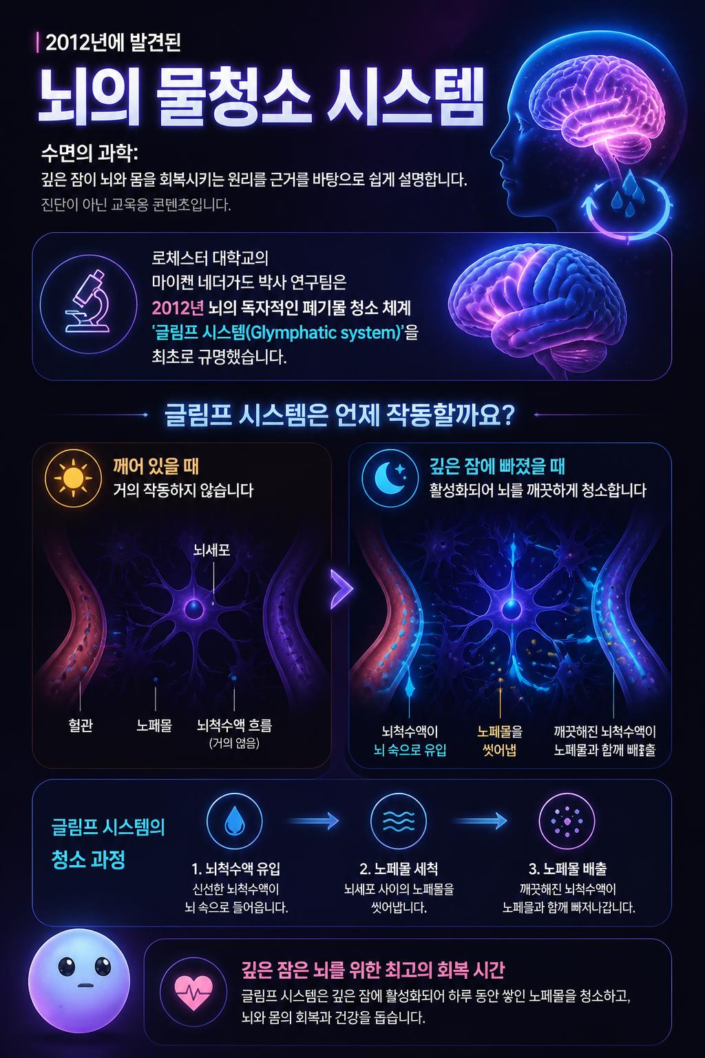 2012년에 발견된 뇌의 물청소 시스템