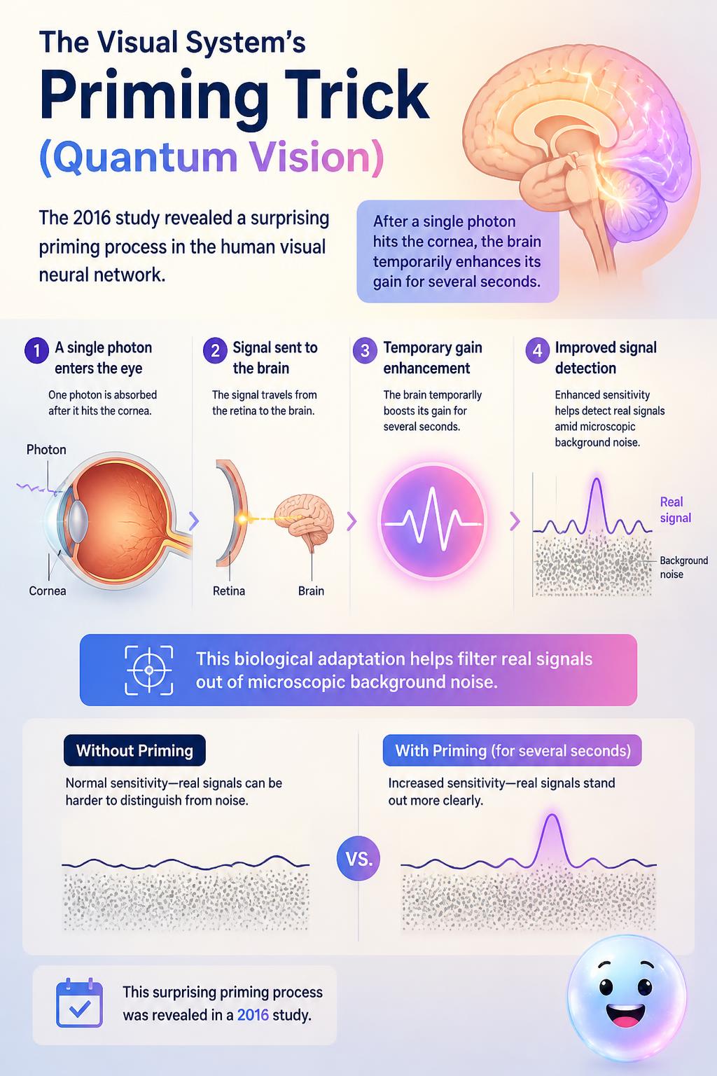 The visual system's priming trick