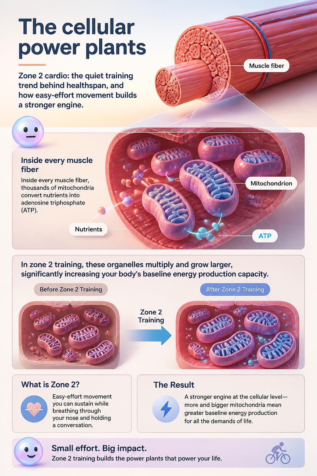 The cellular power plants