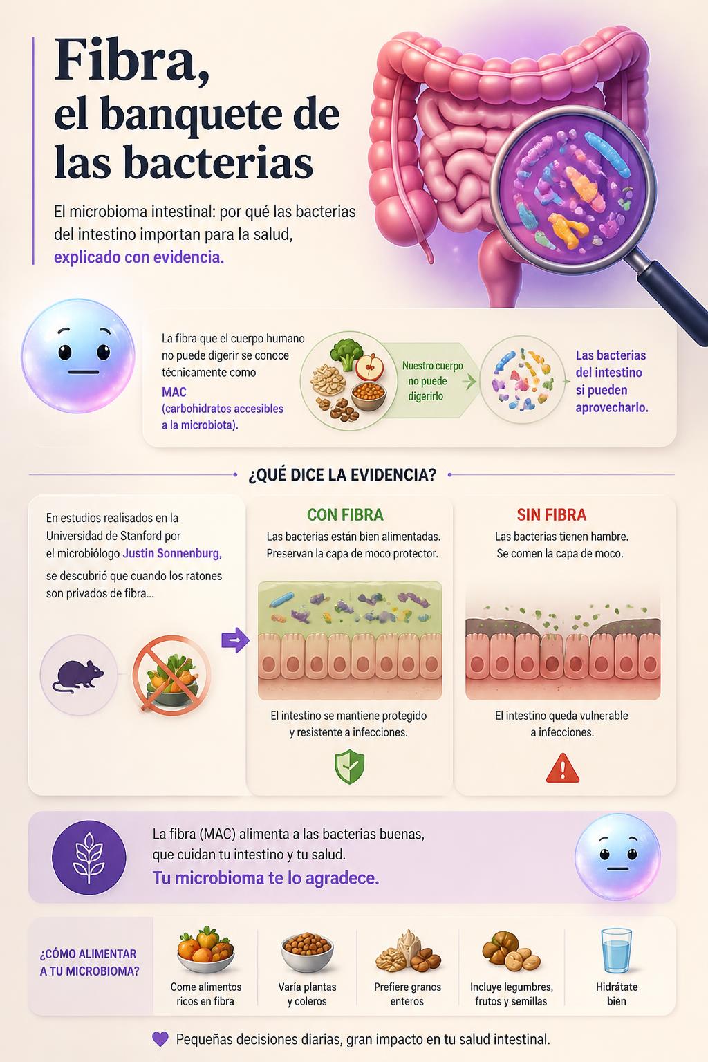 Fibra, el banquete de las bacterias