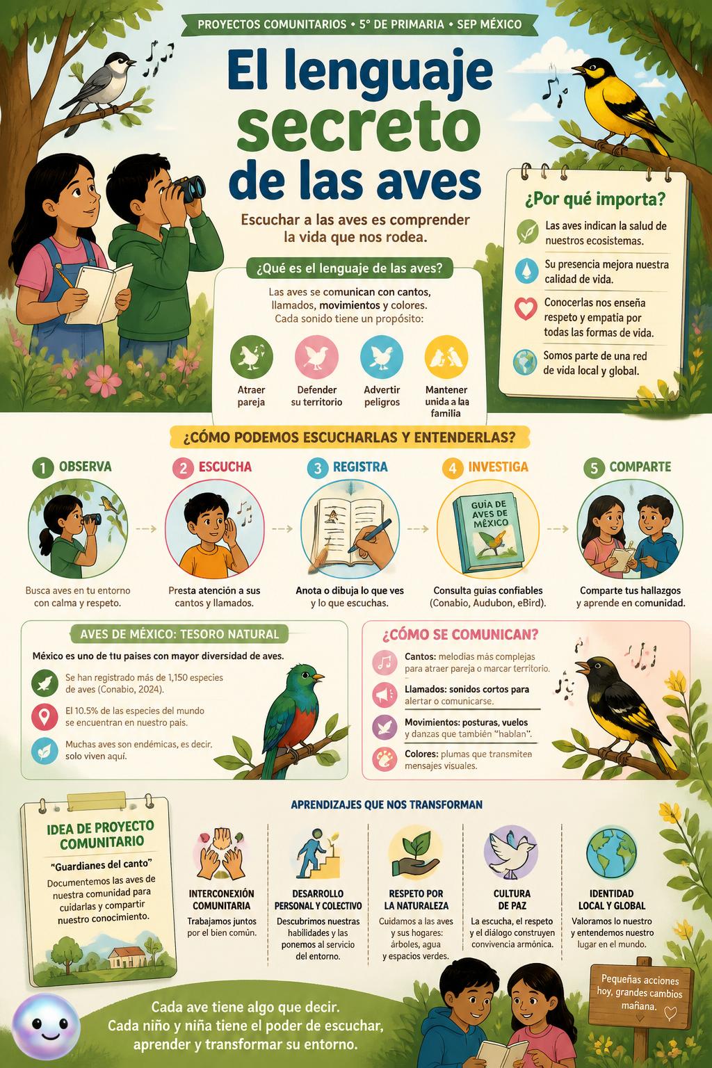 El lenguaje secreto de las aves