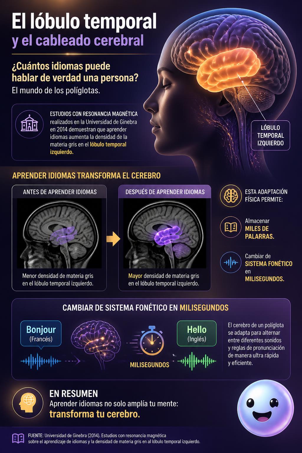 El lóbulo temporal y el cableado cerebral