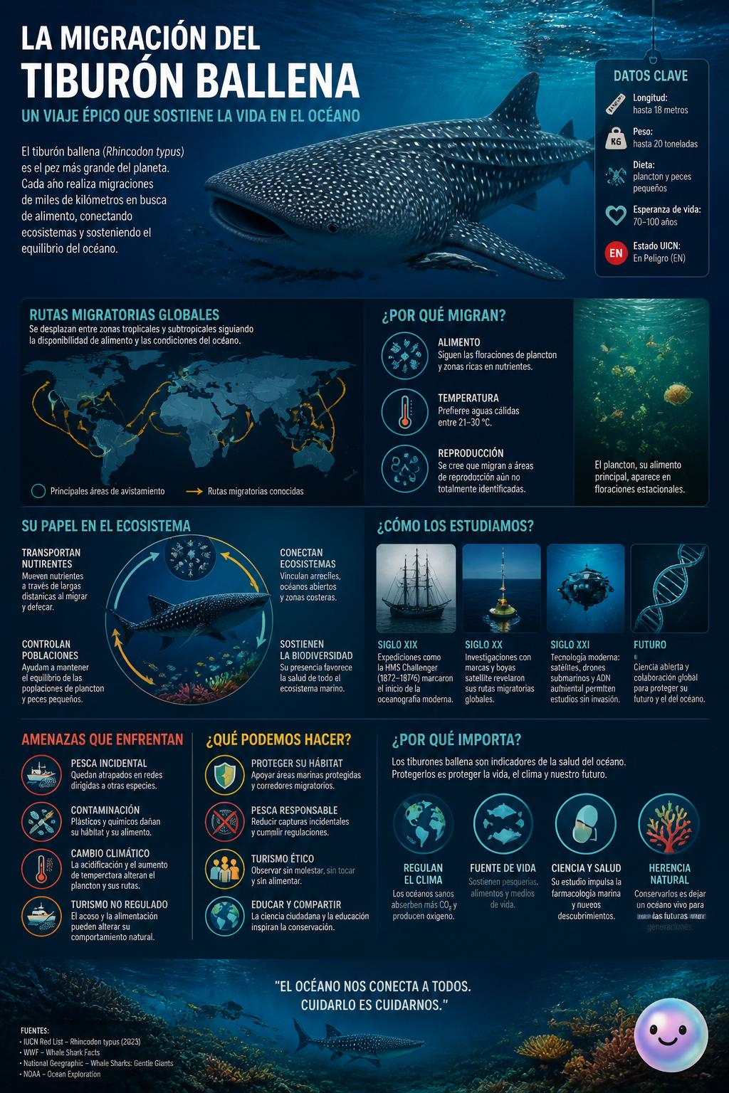 La migración del tiburón ballena