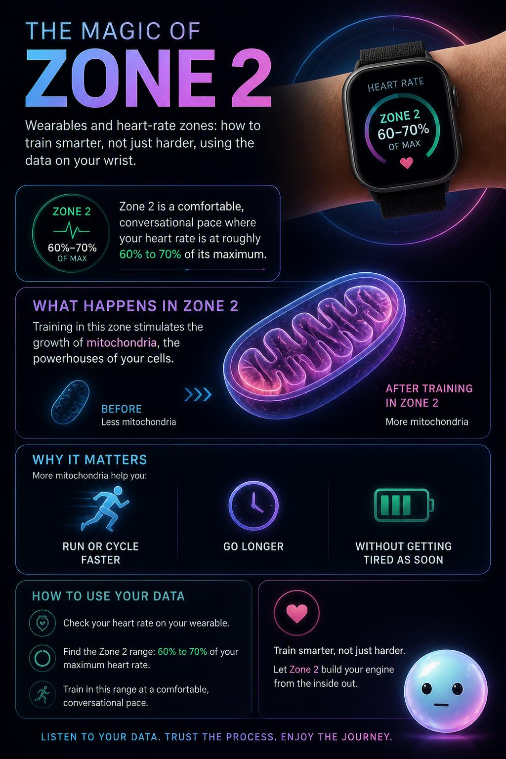 The magic of Zone 2