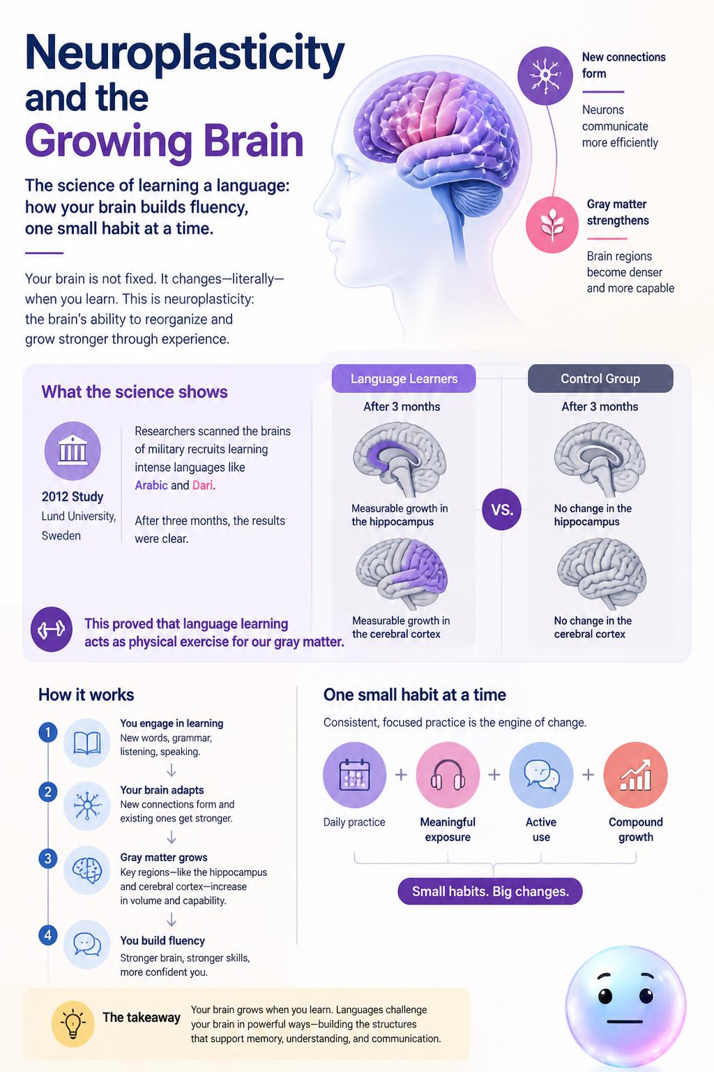 Neuroplasticity and the growing brain