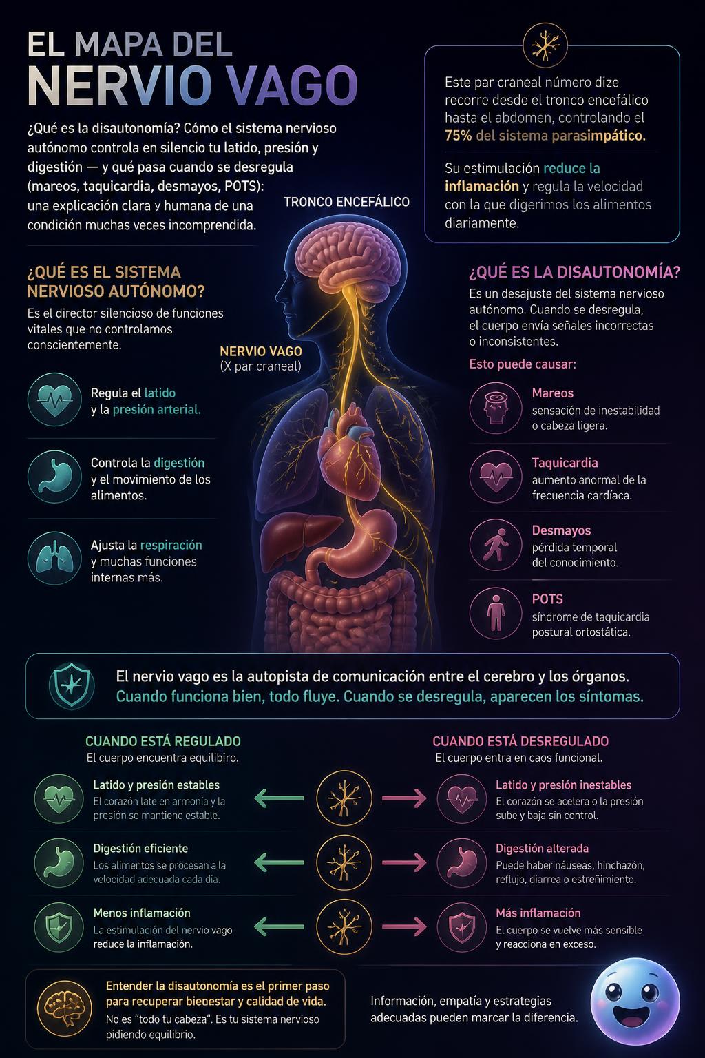 El mapa del nervio vago