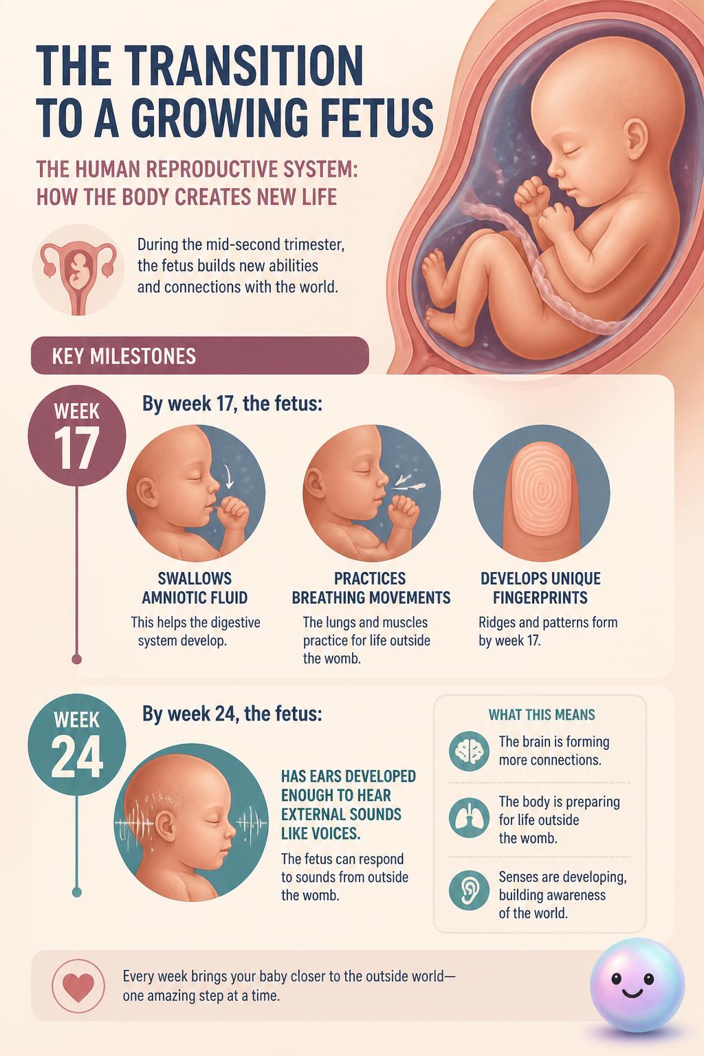 The transition to a growing fetus